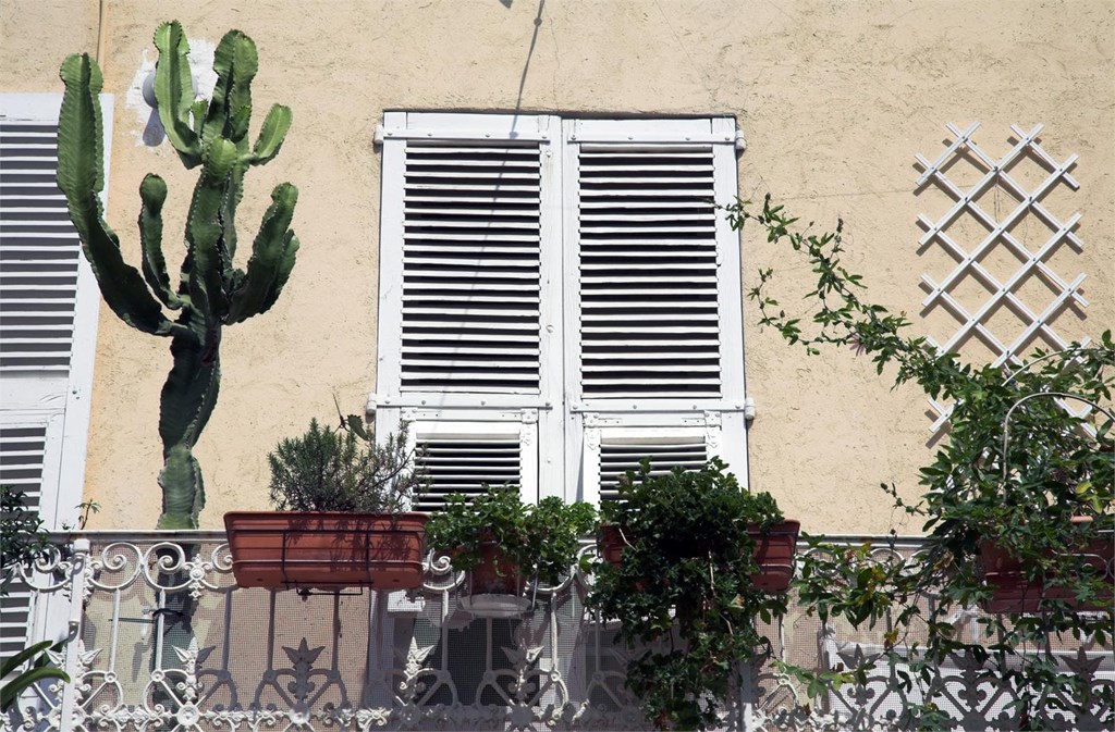 ¿Celosías, mallorquinas o tamices? Descubre cuál es la mejor opción para ti