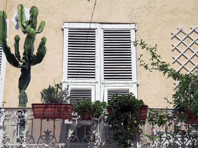 ¿Celosías, mallorquinas o tamices? Descubre cuál es la mejor opción para ti