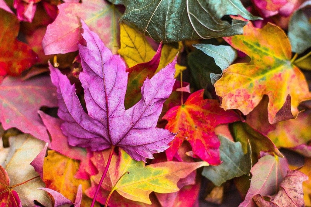 Utiliza más tu terraza en otoño instalando cerramientos de cristal