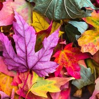 Utiliza más tu terraza en otoño instalando cerramientos de cristal