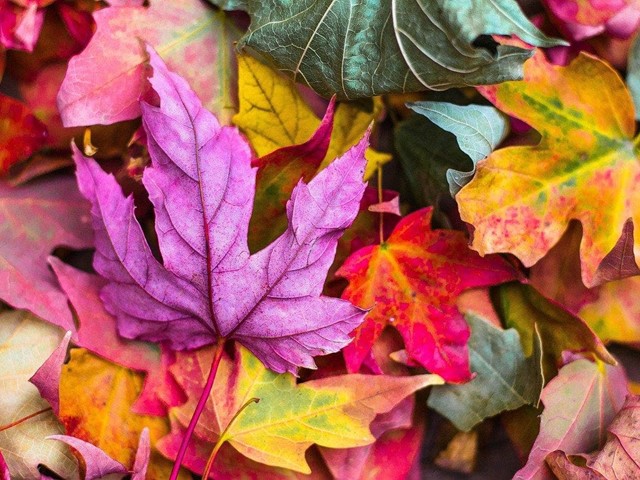 Utiliza más tu terraza en otoño instalando cerramientos de cristal